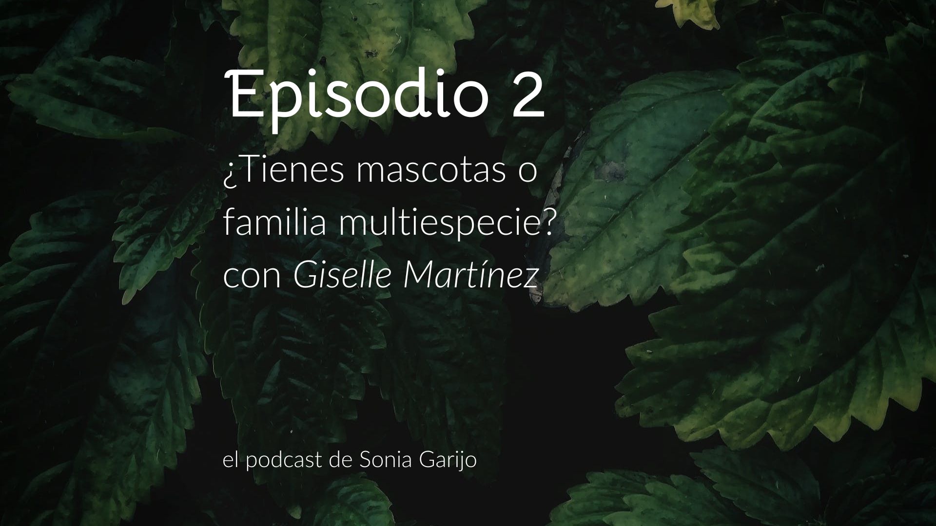 Grupo Sonia Garijo