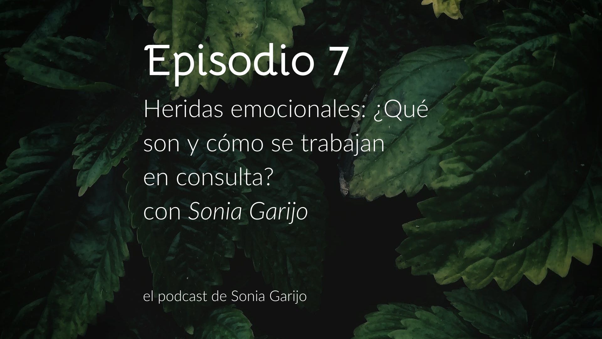 Grupo Sonia Garijo